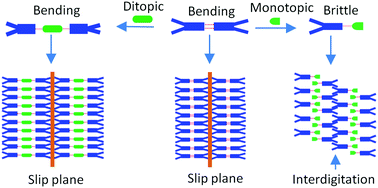 Graphical abstract: Symmetry assisted tuning of bending and brittle multi-component forms of probenecid