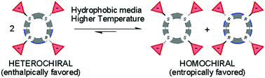 Graphical abstract: Entropy-driven homochiral self-sorting of a dynamic library