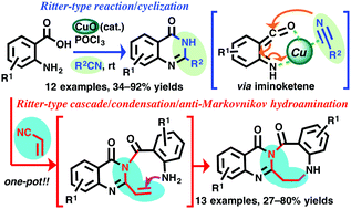 Graphical abstract: A copper-catalyzed Ritter-type cascade via iminoketene for the synthesis of quinazolin-4(3H)-ones and diazocines