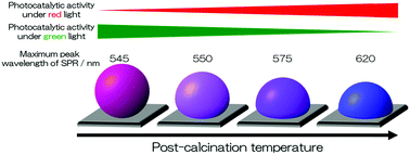 Graphical abstract: A very simple method for the preparation of Au/TiO2 plasmonic photocatalysts working under irradiation of visible light in the range of 600–700 nm