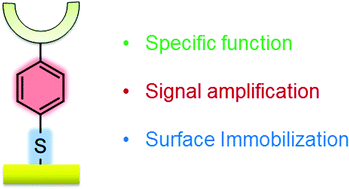 Graphical abstract: Multi-functional, thiophenol-based surface chemistry for surface-enhanced Raman spectroscopy