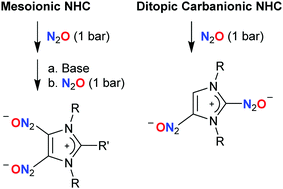 Graphical abstract: Fixation of nitrous oxide by mesoionic and carbanionic N-heterocyclic carbenes