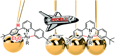 Graphical abstract: Arene C–H activation by gold(iii): solvent-enabled proton shuttling, and observation of a pre-metallation Au–arene intermediate