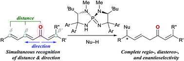 Graphical abstract: Unique site-selectivity control in asymmetric Michael addition of azlactone to alkenyl dienyl ketones enabled by P-spiro chiral iminophosphorane catalysis