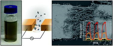 Graphical abstract: Dielectrophoretic assembly of liquid-phase-exfoliated TiS3 nanoribbons for photodetecting applications