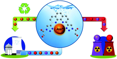 Graphical abstract: Hydrophilic 2,9-bis-triazolyl-1,10-phenanthroline ligands enable selective Am(iii) separation: a step further towards sustainable nuclear energy