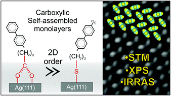 Graphical abstract: Binding groups for highly ordered SAM formation: carboxylic versus thiol