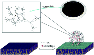 Graphical abstract: Bio-inspired Ni2+-polyphenol hydrophilic network to achieve unconventional high-flux nanofiltration membranes for environmental remediation