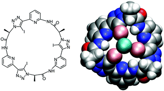 Graphical abstract: A neutral halogen bonding macrocyclic anion receptor based on a pseudocyclopeptide with three 5-iodo-1,2,3-triazole subunits