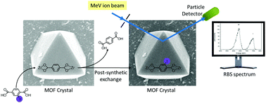 Graphical abstract: Uniform distribution of post-synthetic linker exchange in metal–organic frameworks revealed by Rutherford backscattering spectrometry