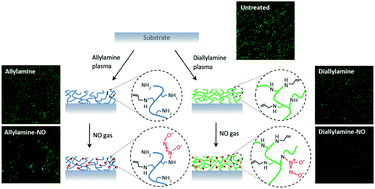 Graphical abstract: Facile solvent-free fabrication of nitric oxide (NO)-releasing coatings for prevention of biofilm formation