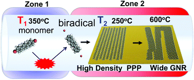 Graphical abstract: Wide graphene nanoribbons produced by interchain fusion of poly(p-phenylene) via two-zone chemical vapor deposition