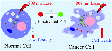 Graphical abstract: A smart drug: a pH-responsive photothermal ablation agent for Golgi apparatus activated cancer therapy
