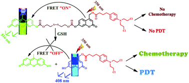 Graphical abstract: Redox-responsive xanthene–coumarin–chlorambucil-based FRET-guided theranostics for “activatable” combination therapy with real-time monitoring