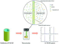 Graphical abstract: High enrichment and ultra-trace analysis of aflatoxins in edible oils by a modified hollow-fiber liquid-phase microextraction technique
