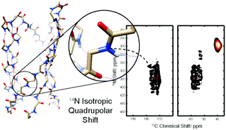 Graphical abstract: Measurement of 14N quadrupole couplings in biomolecular solids using indirect-detection 14N solid-state NMR with DNP