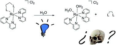 Graphical abstract: To cage or to be caged? The cytotoxic species in ruthenium-based photoactivated chemotherapy is not always the metal
