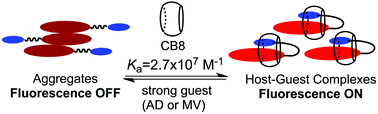 Graphical abstract: Intracavity folding of a perylene dye affords a high-affinity complex with cucurbit[8]uril