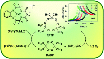 Graphical abstract: Autocatalytic dioxygen activation to produce an iron(v)-oxo complex without any reductants