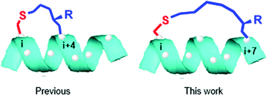 Graphical abstract: A precisely positioned chiral center in an i, i + 7 tether modulates the helicity of the backbone peptide