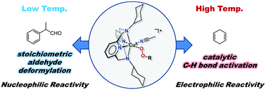 Graphical abstract: Nucleophilic reactivity of copper(ii)–alkylperoxo complexes