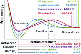 Graphical abstract: Prebiotic RNA polymerisation: energetics of nucleotide adsorption and polymerisation on clay mineral surfaces