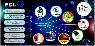Graphical abstract: Recent trends in electrochemiluminescence aptasensors and their applications