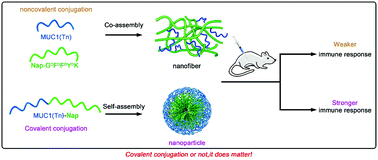 Graphical abstract: Potentiating the immune response of MUC1-based antitumor vaccines using a peptide-based nanovector as a promising vaccine adjuvant