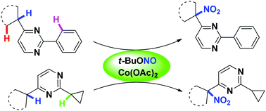 Graphical abstract: Co-catalyzed highly selective C(sp3)–H nitration