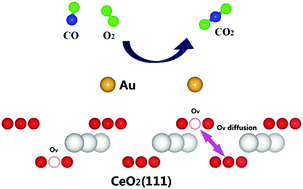 Graphical abstract: Catalytic role of vacancy diffusion in ceria supported atomic gold catalyst