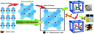 Graphical abstract: Highly efficient Cr2O72− removal of a 3D metal-organic framework fabricated by tandem single-crystal to single-crystal transformations from a 1D coordination array