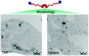 Graphical abstract: Supramolecular semifluorinated dendrons glued by weak hydrogen-bonds