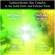 Graphical abstract: Mechano-, thermo-, solvato-, and vapochromism in bis(acetato-κ1O)[4′-(4-(diphenylamino)phenyl)](2,2′:6′,2′′-terpyridine-κ3N,N′,N′′)zinc(ii) and its polymer