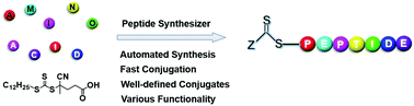 Graphical abstract: Syntheses and effectiveness of functional peptide-based RAFT agents