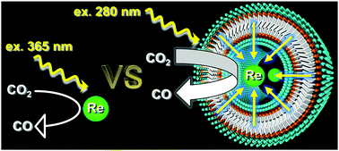 Graphical abstract: Enhancement of the photocatalytic activity of rhenium(i) complexes by encapsulation in light-harvesting soft nanotubes