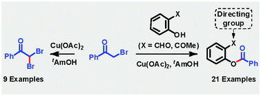 Graphical abstract: Directing group assisted copper-mediated aroylation of phenols using 2-bromoacetophenones