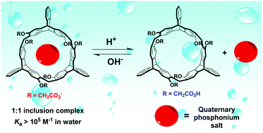 Graphical abstract: Synthesis of a water-soluble 2,6-helic[6]arene derivative and its strong binding abilities towards quaternary phosphonium salts: an acid/base controlled switchable complexation process