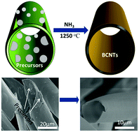 Graphical abstract: Bio-templated fabrication of metal-free boron carbonitride tubes for visible light photocatalysis