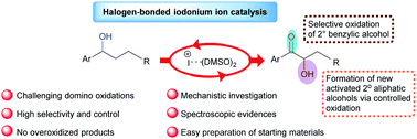 Graphical abstract: Halogen-bonded iodonium ion catalysis: a route to α-hydroxy ketones via domino oxidations of secondary alcohols and aliphatic C–H bonds with high selectivity and control