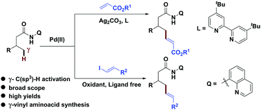 Graphical abstract: Palladium catalyzed direct aliphatic γC(sp3)–H alkenylation with alkenes and alkenyl iodides
