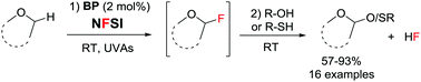 Graphical abstract: Light-promoted metal-free cross dehydrogenative couplings on ethers mediated by NFSI: reactivity and mechanistic studies