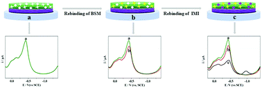 Graphical abstract: From non-electroactive to electroactive species: highly selective and sensitive detection based on a dual-template molecularly imprinted polymer electrochemical sensor