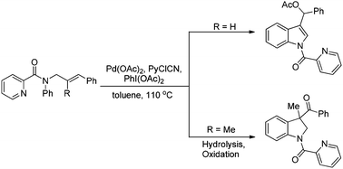 Graphical abstract: Palladium-catalyzed oxidative arylacetoxylation of alkenes: synthesis of indole and indoline derivatives