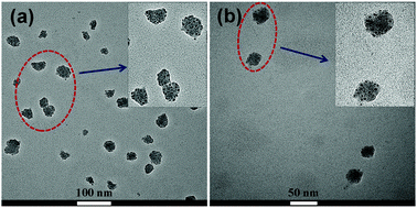 Graphical abstract: Entirely oligosaccharide-based supramolecular amphiphiles constructed via host–guest interactions as efficient drug delivery platforms