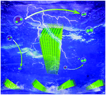 Graphical abstract: Highly efficient hydrogen evolution electrocatalysts based on coupled molybdenum phosphide and reduced graphene oxide derived from MOFs