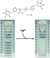 Graphical abstract: Uracil-bearing poly(2-isopropyl-2-oxazoline): Hg(ii)-selective control of its thermoresponsiveness