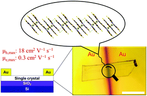 Graphical abstract: Solution-processed single crystal microsheets of a novel dimeric phthalocyanine-involved triple-decker for high-performance ambipolar organic field effect transistors