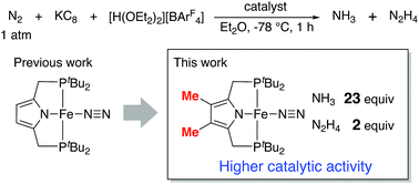 Graphical abstract: Synthesis and reactivity of iron–dinitrogen complexes bearing anionic methyl- and phenyl-substituted pyrrole-based PNP-type pincer ligands toward catalytic nitrogen fixation