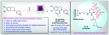 Graphical abstract: Bifunctional organic sponge photocatalyst for efficient cross-dehydrogenative coupling of tertiary amines to ketones