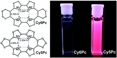 Graphical abstract: The first synthesis of meso-dicycloalkylporphycenes: ring strain effects on structural and optical properties of isomeric porphyrins